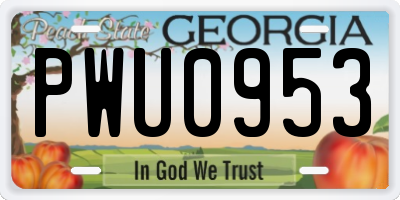 GA license plate PWU0953