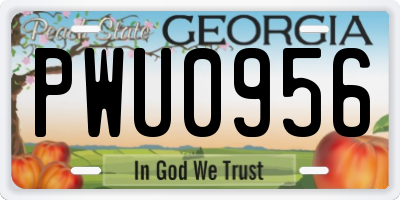 GA license plate PWU0956