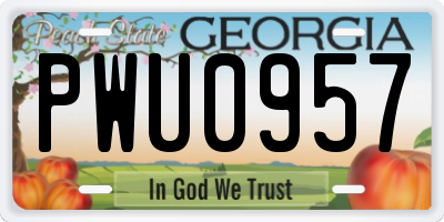 GA license plate PWU0957