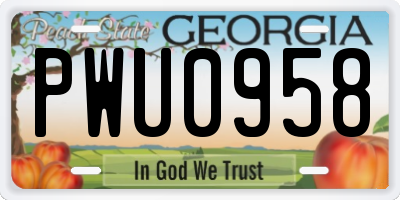 GA license plate PWU0958