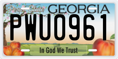 GA license plate PWU0961