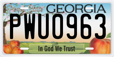 GA license plate PWU0963