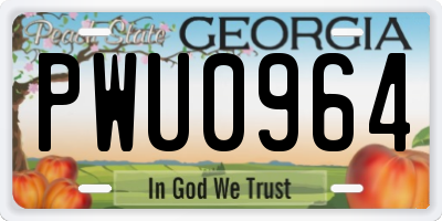GA license plate PWU0964