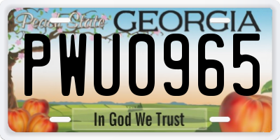 GA license plate PWU0965