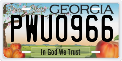 GA license plate PWU0966