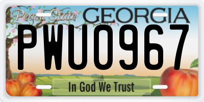 GA license plate PWU0967