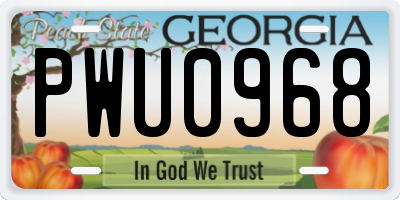 GA license plate PWU0968