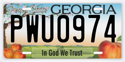 GA license plate PWU0974