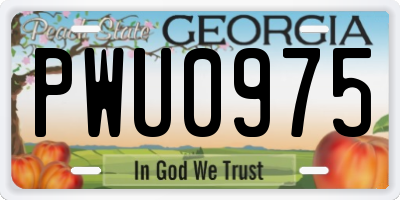 GA license plate PWU0975