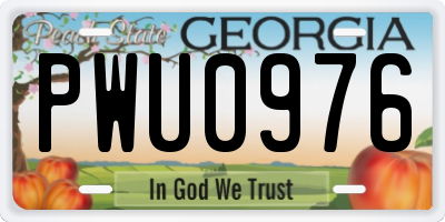 GA license plate PWU0976