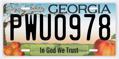 GA license plate PWU0978
