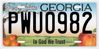 GA license plate PWU0982