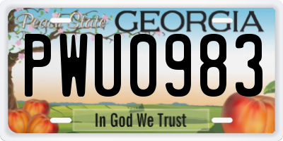 GA license plate PWU0983