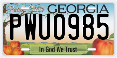 GA license plate PWU0985