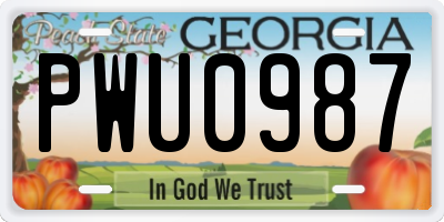 GA license plate PWU0987