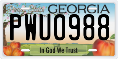 GA license plate PWU0988