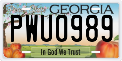 GA license plate PWU0989