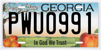 GA license plate PWU0991