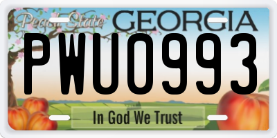 GA license plate PWU0993