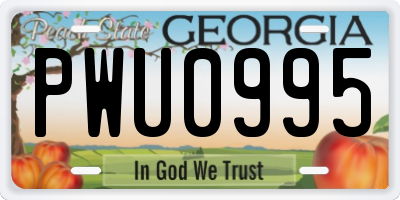 GA license plate PWU0995