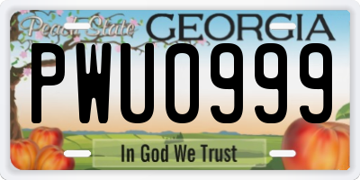 GA license plate PWU0999