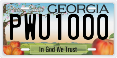 GA license plate PWU1000