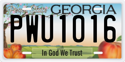 GA license plate PWU1016
