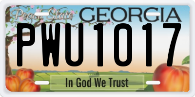 GA license plate PWU1017