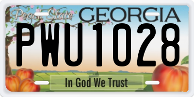 GA license plate PWU1028