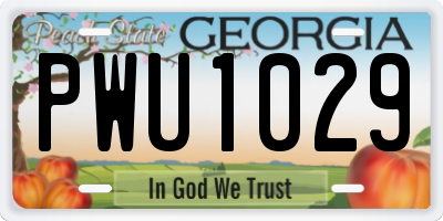 GA license plate PWU1029