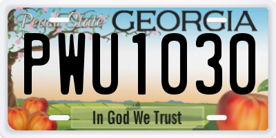 GA license plate PWU1030