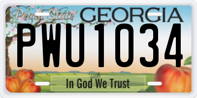 GA license plate PWU1034