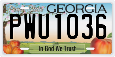 GA license plate PWU1036