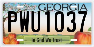 GA license plate PWU1037