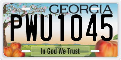 GA license plate PWU1045
