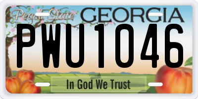 GA license plate PWU1046