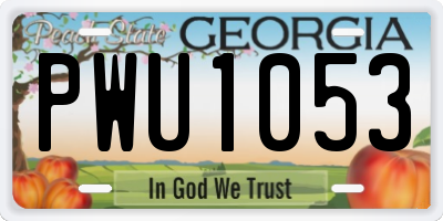 GA license plate PWU1053
