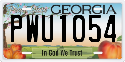 GA license plate PWU1054