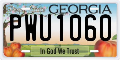 GA license plate PWU1060