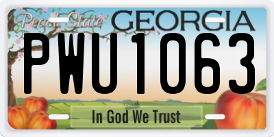 GA license plate PWU1063