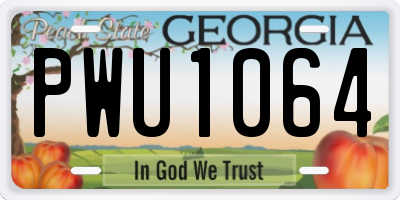 GA license plate PWU1064
