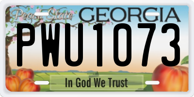 GA license plate PWU1073