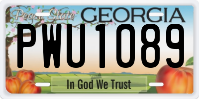 GA license plate PWU1089