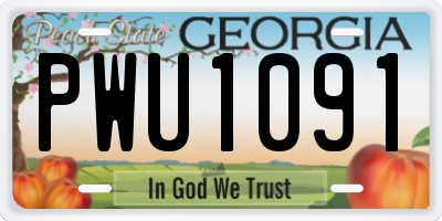 GA license plate PWU1091
