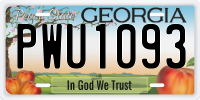 GA license plate PWU1093