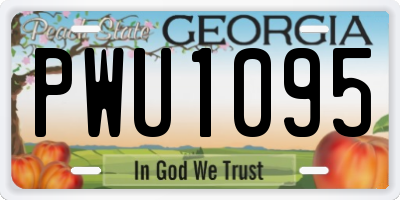 GA license plate PWU1095