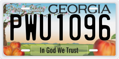 GA license plate PWU1096