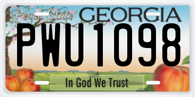 GA license plate PWU1098