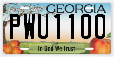 GA license plate PWU1100