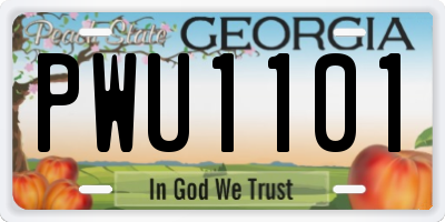 GA license plate PWU1101